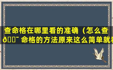 查命格在哪里看的准确（怎么查 🐯 命格的方法原来这么简单就看出来了）